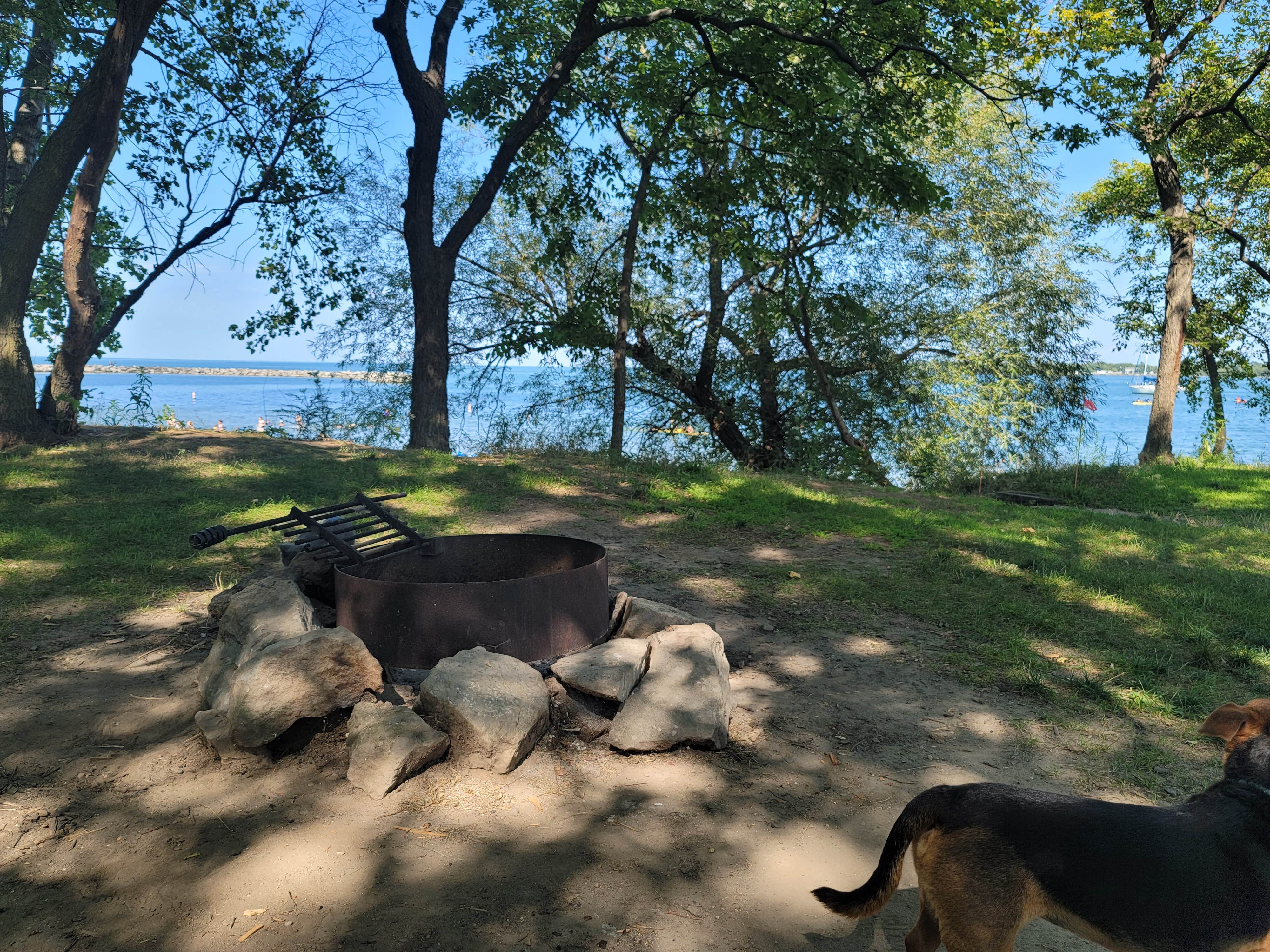 Amanda S.'s photo of camping with pets at Kelleys Island State Park Campground near Lorain, OH