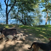 Review photo of Kelleys Island State Park Campground by Amanda S., August 22, 2021