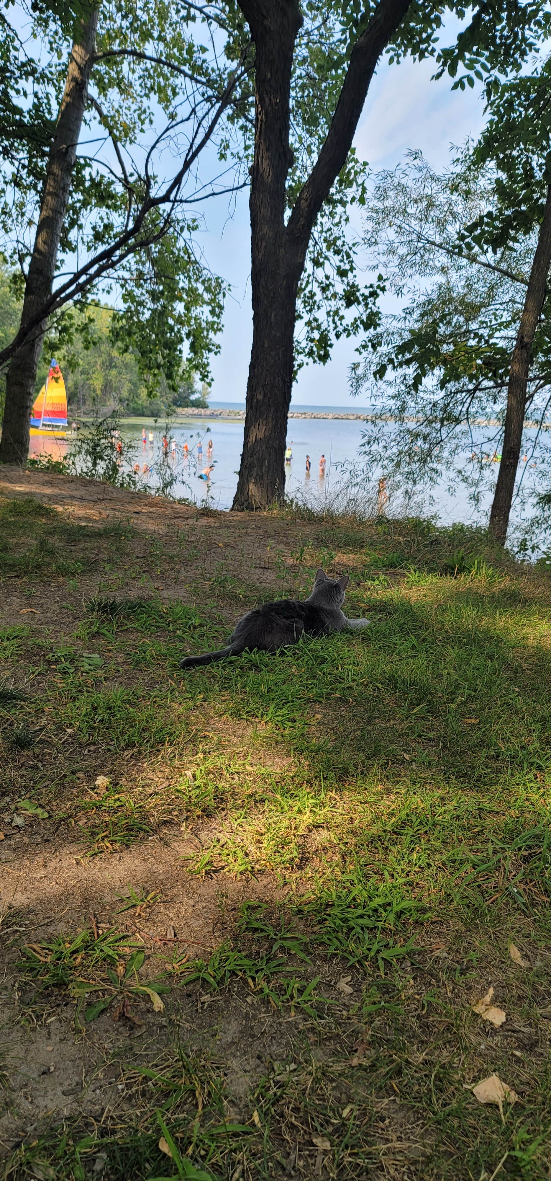 Amanda S.'s photo of camping with pets at Kelleys Island State Park Campground near Sheffield Lake, OH