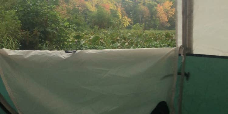 Camper submitted image from O. B. Fuller Campground