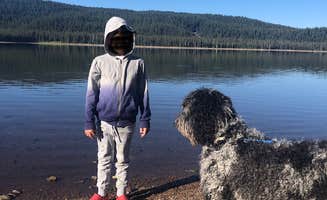 CRJohnson's photo of camping with pets at Medicine Lake Campground near Tulelake, CA