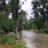 Review photo of Spearfish City Campground by Thomas S., August 22, 2021