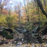 Review photo of Crabtree Falls Campground by Cory D., June 19, 2018