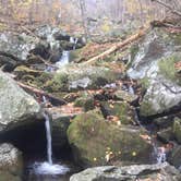 Review photo of Crabtree Falls Campground by Cory D., June 19, 2018