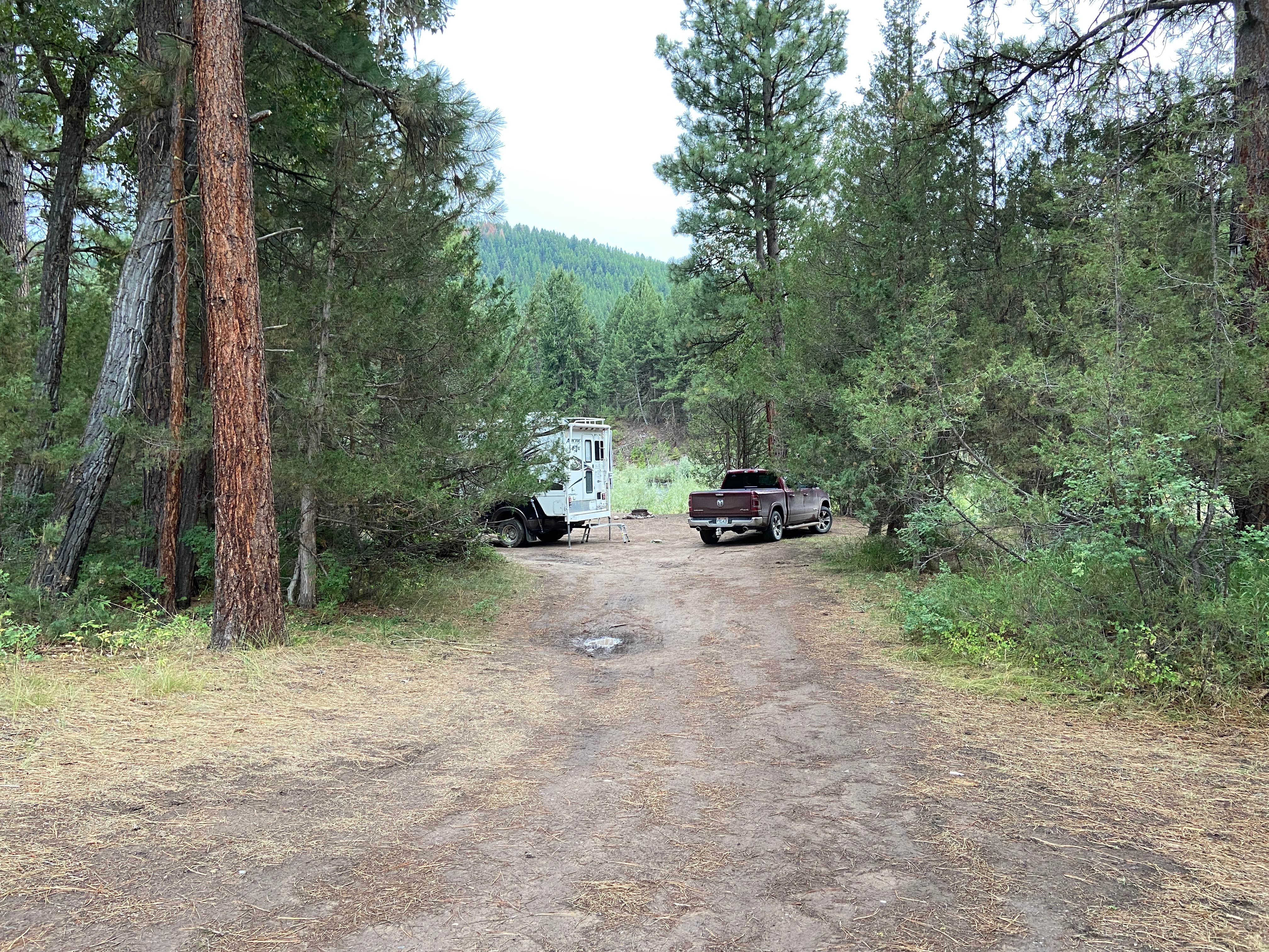 Camper submitted image from Corricks River Bend - 2