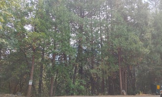 Camping near Tahoe National Forest Wild Plum Campground: Sierra Skies RV Park, Sierra City, California