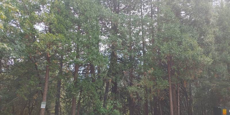 Camper submitted image from Sierra Skies RV Park