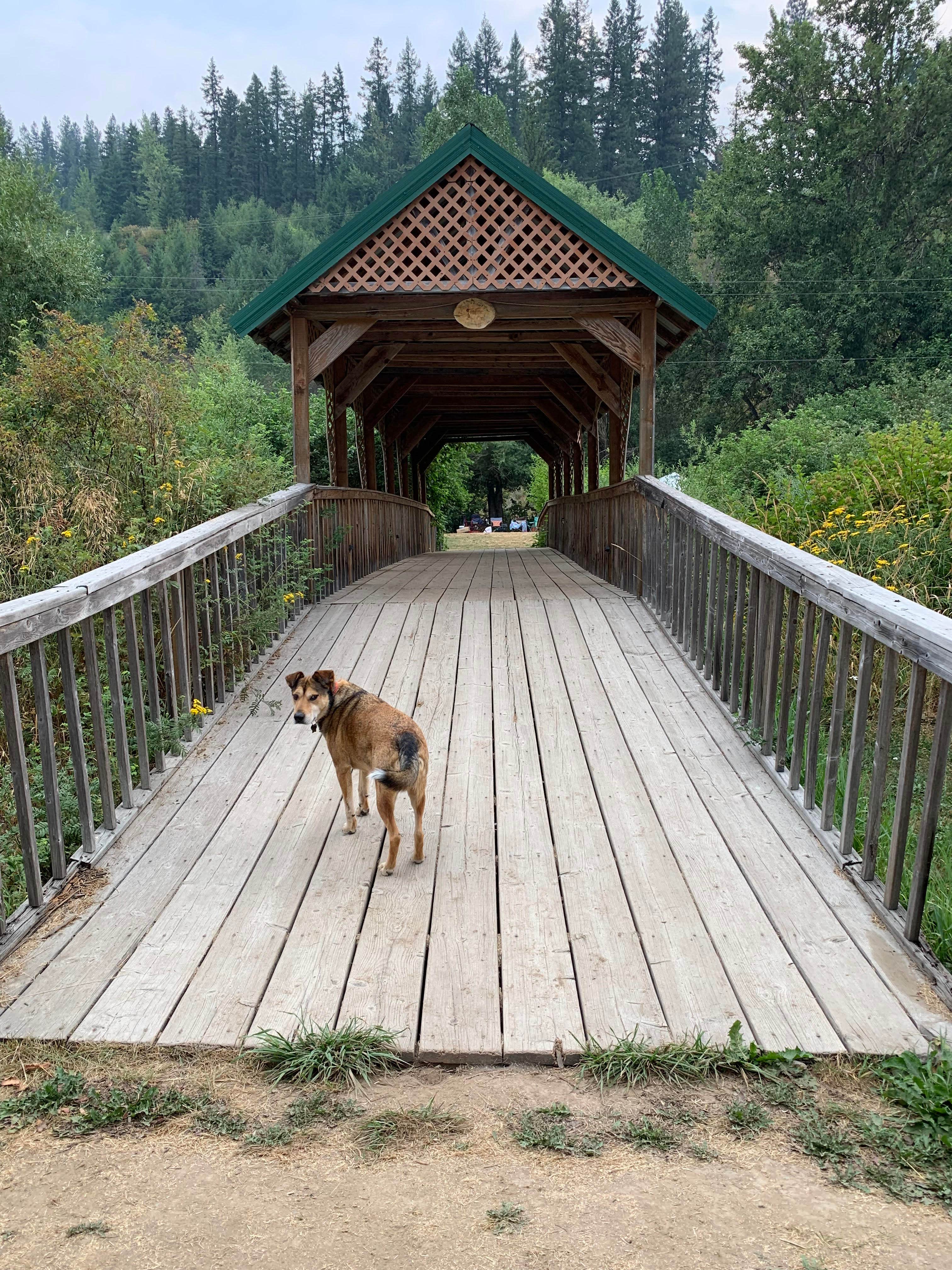 Camper-submitted photo at Country Lane River Resort near Santa, ID