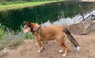 jeremy B.'s photo of camping with pets at Country Lane River Resort near Medimont, ID