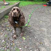 Review photo of Frances Slocum State Park Campground by Jackie F., August 22, 2021