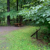 Review photo of Woodland Valley Campground - DEC by Gary G., August 22, 2021