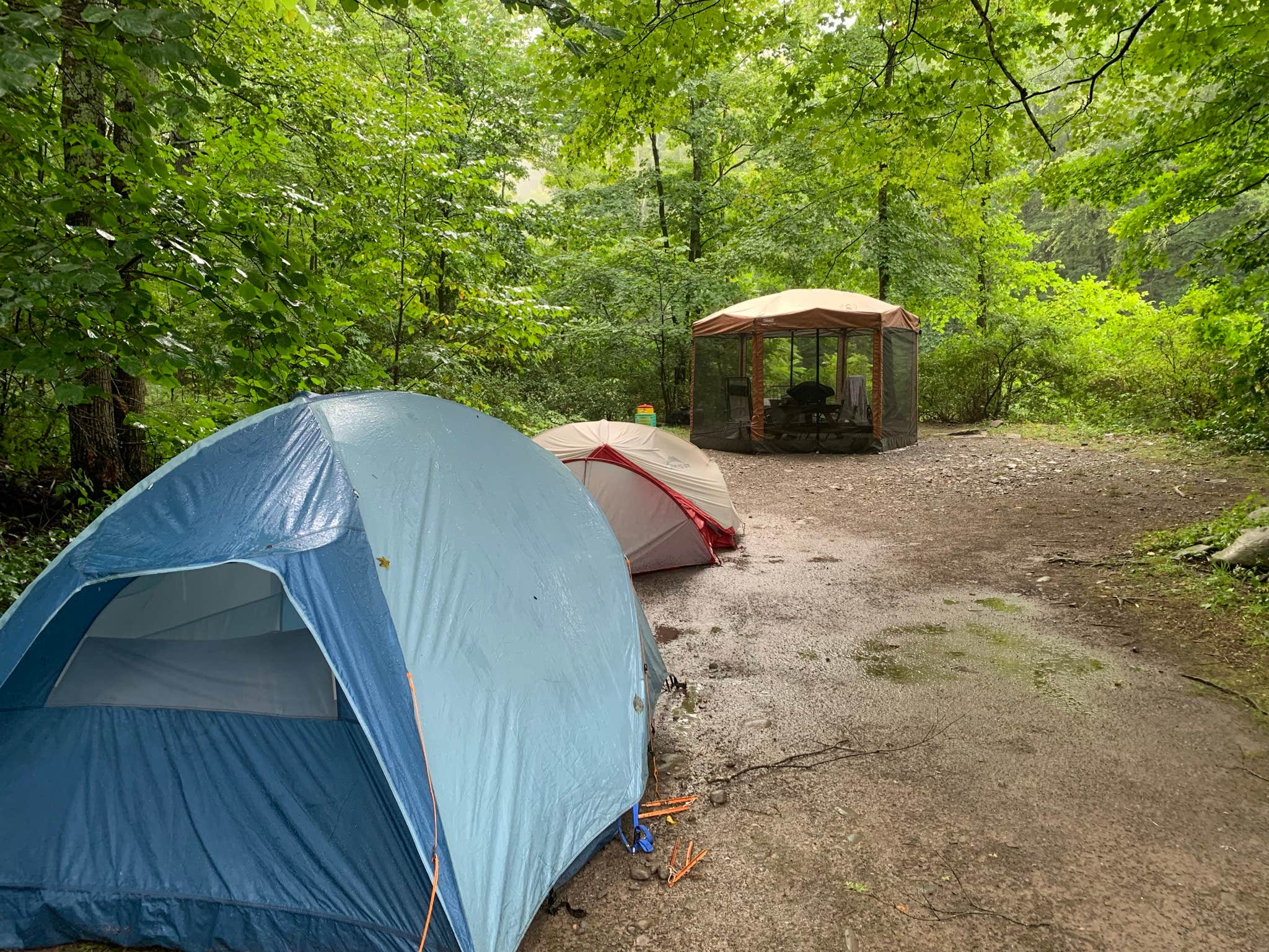 Gary G.'s photo at Woodland Valley Campground — DEC near Highmount, NY