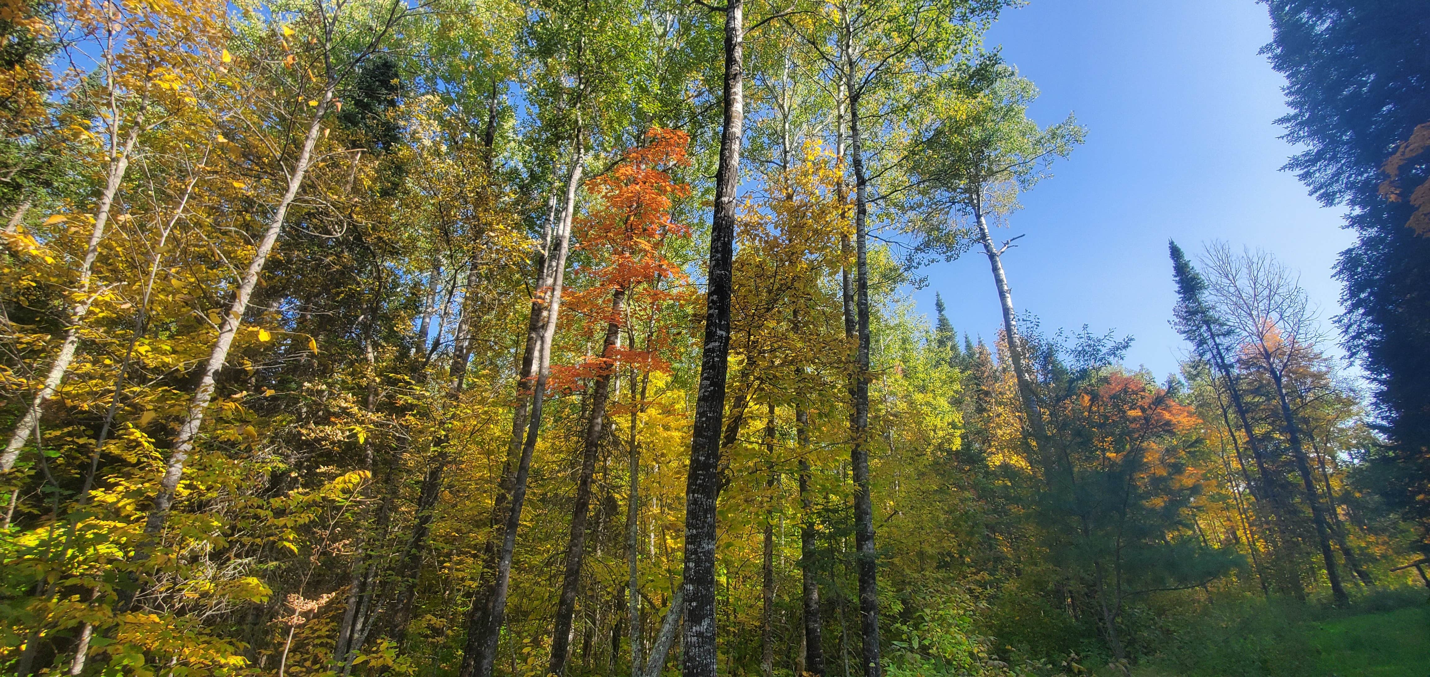Camper-submitted photo at Trails Inn Quadna Mountain Motel & RV Campground near Palisade, MN