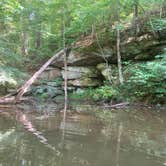 Review photo of Forked Run State Park Campground by Darrel and Mary W., August 22, 2021