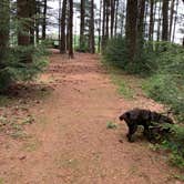 Review photo of Pickerel Point Campground — Promised Land State Park by Jackie F., August 22, 2021