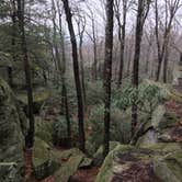 Review photo of Coopers Rock State Forest by Cory D., June 19, 2018