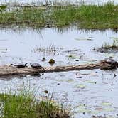 Review photo of Pickerel Point Campground — Promised Land State Park by Jackie F., August 22, 2021