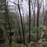 Review photo of Coopers Rock State Forest by Cory D., June 19, 2018