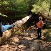 Review photo of Ricketts Glen State Park Campground by Jackie F., August 22, 2021