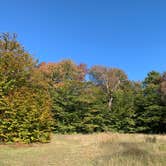 Review photo of Ricketts Glen State Park Campground by Jackie F., August 22, 2021