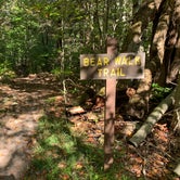 Review photo of Ricketts Glen State Park Campground by Jackie F., August 22, 2021