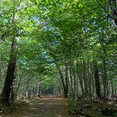 Review photo of Ricketts Glen State Park Campground by Jackie F., August 22, 2021