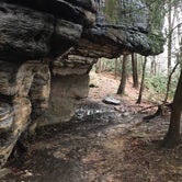 Review photo of Coopers Rock State Forest by Cory D., June 19, 2018