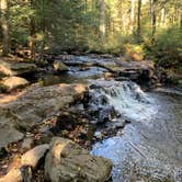 Review photo of Ricketts Glen State Park Campground by Jackie F., August 22, 2021