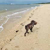 Review photo of Sun Retreats Seashore Campsites & RV Resort by Jackie F., August 22, 2021