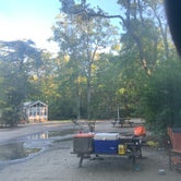 Review photo of Sun Retreats Seashore Campsites & RV Resort by Jackie F., August 22, 2021