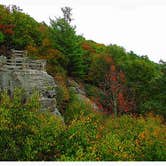 Review photo of Coopers Rock State Forest by Cory D., June 19, 2018