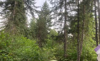 Savannah S.'s photo of tent camping at Salmon la Sac Road Dispersed Camping near Leavenworth, WA