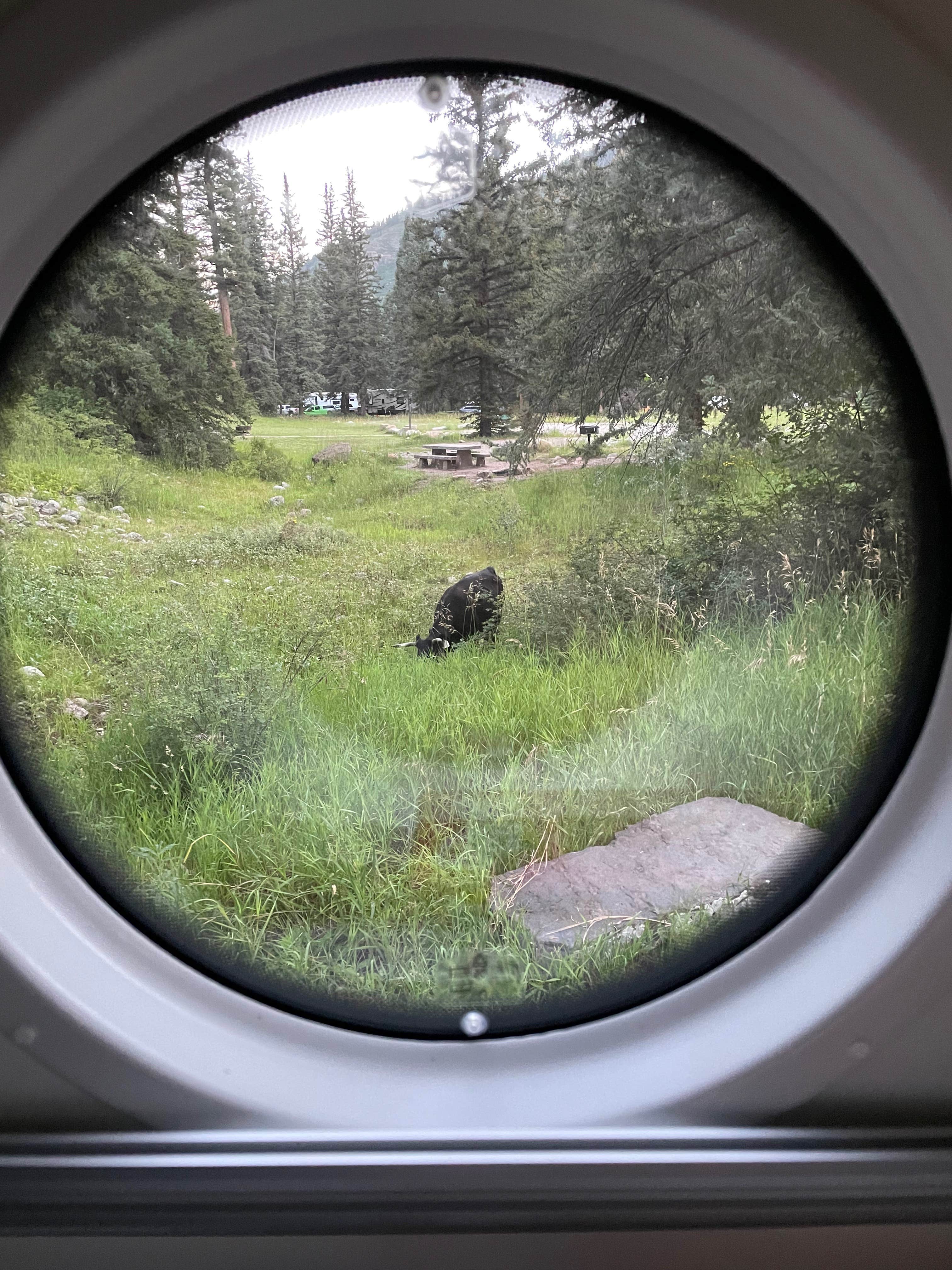 James F.'s photo of camping with pets at Santa Barbara Campground near Montezuma, NM