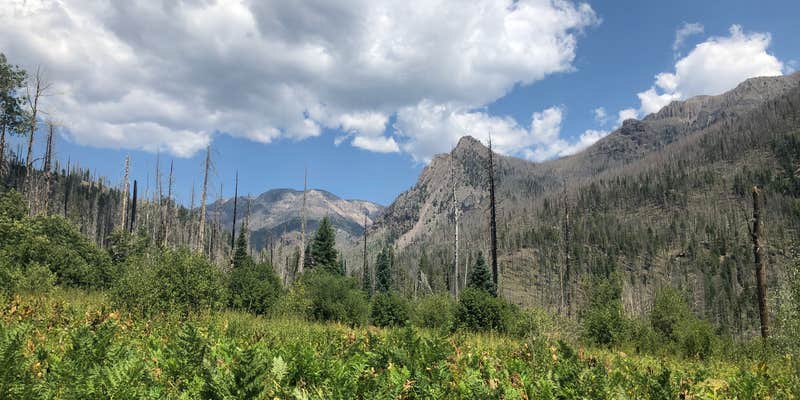 Camper submitted image from Rainbow Hot Springs