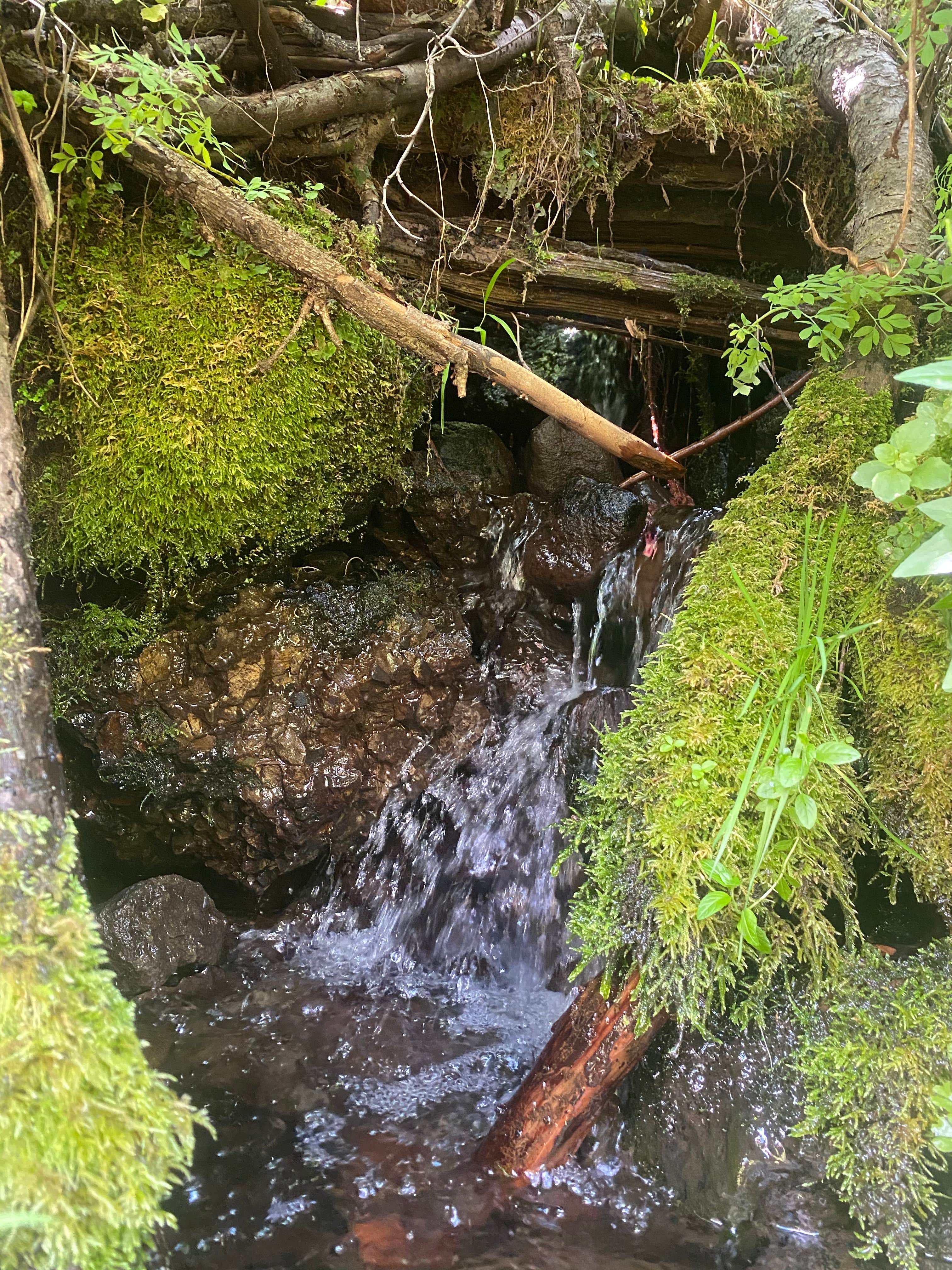 Camper-submitted photo at Rainbow Hot Springs near Rio Grande National Forest