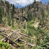 Review photo of Rainbow Hot Springs by Cody W., August 22, 2021