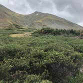 Review photo of Chaffee County Road 390 Dispersed by Cody W., August 22, 2021