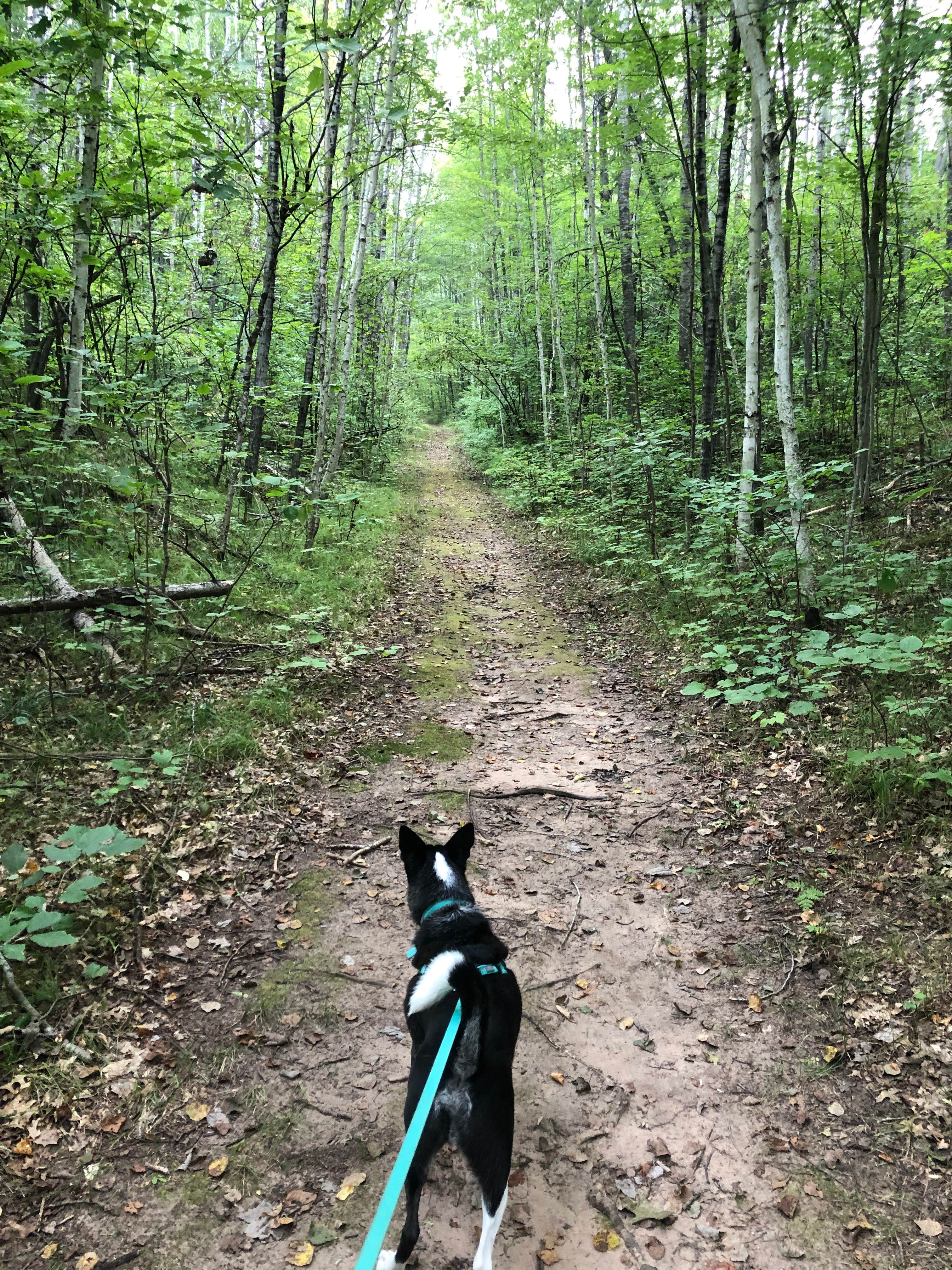 Camper-submitted photo at Morgan Park near Amberg, WI