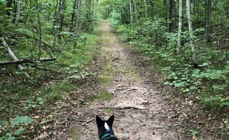 robin F.'s photo of camping with pets at Morgan Park near Iron Mountain, MI