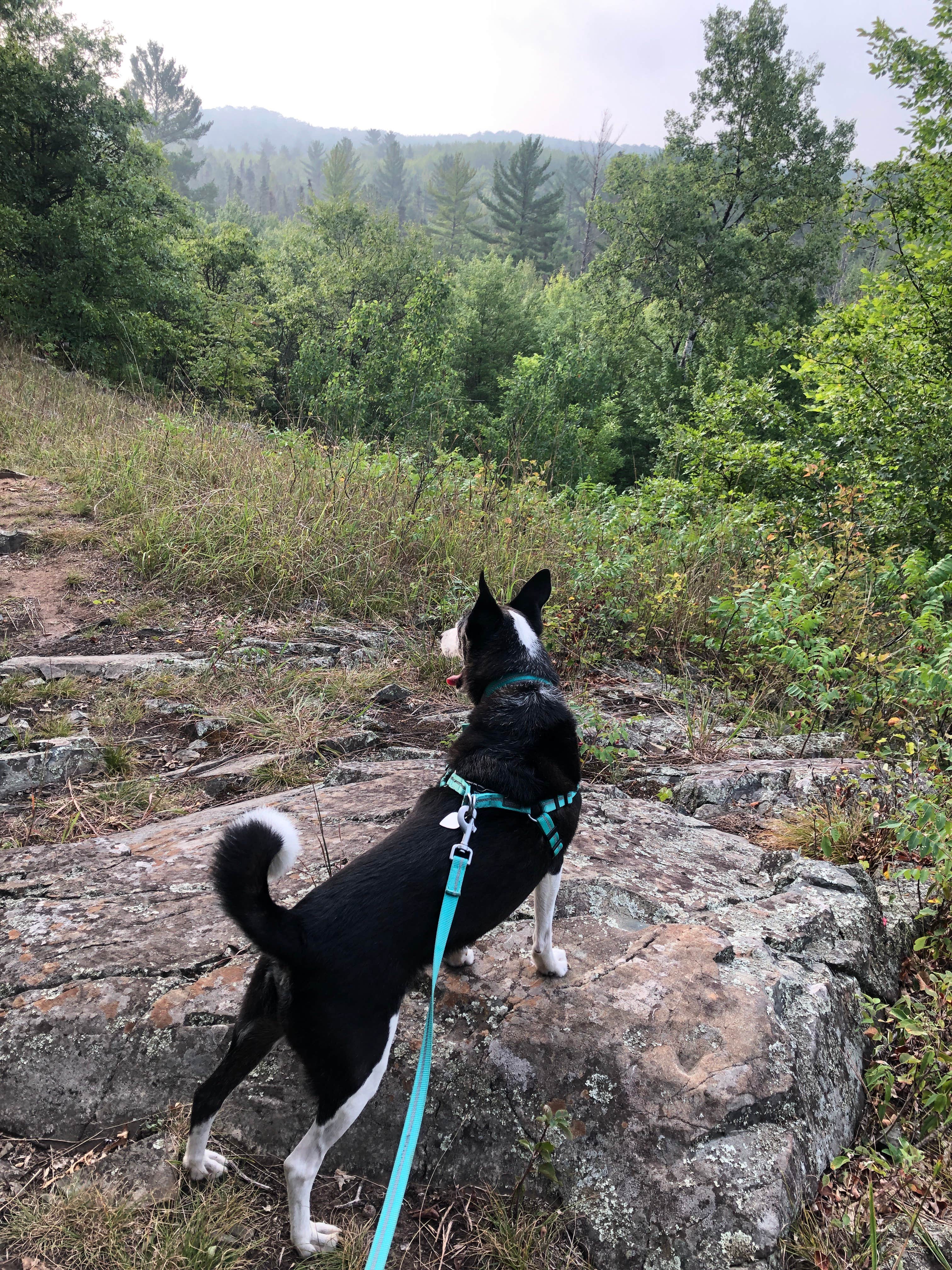 Camper-submitted photo at Morgan Park near Amberg, WI