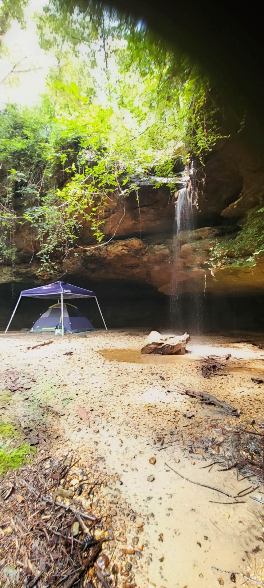 Rebekah C.'s photo at Dismals Canyon Cabins and Primitive Campsites near Natural Bridge, AL