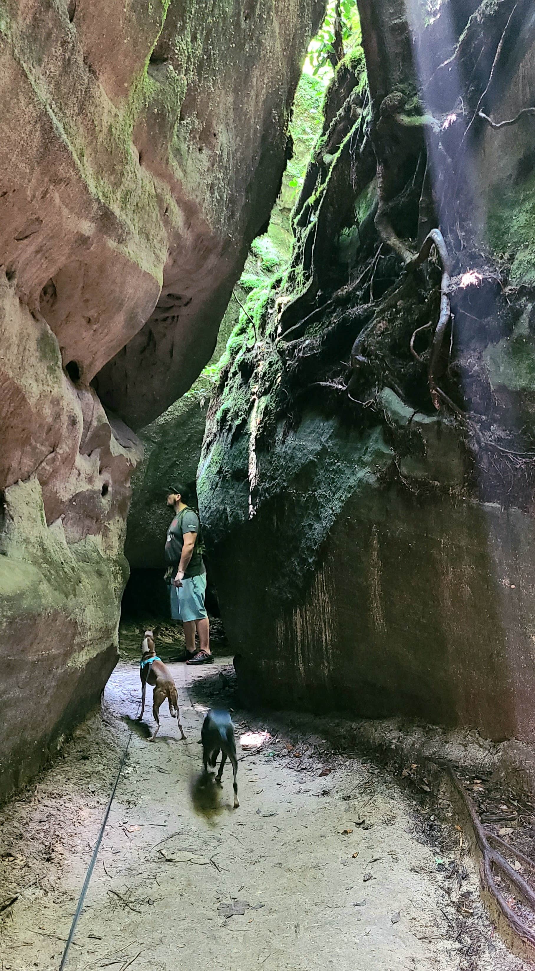Rebekah C.'s photo of camping with pets at Dismals Canyon Cabins and Primitive Campsites near Bankhead National Forest