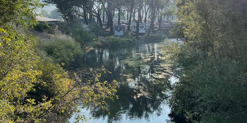 Camper submitted image from Marys Place