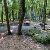 Review photo of Coopers Rock State Forest by Angie J., August 23, 2021