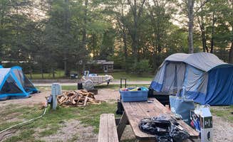 Rochelle T.'s photo at Matson's Big Manistee River Campground near Arcadia, MI