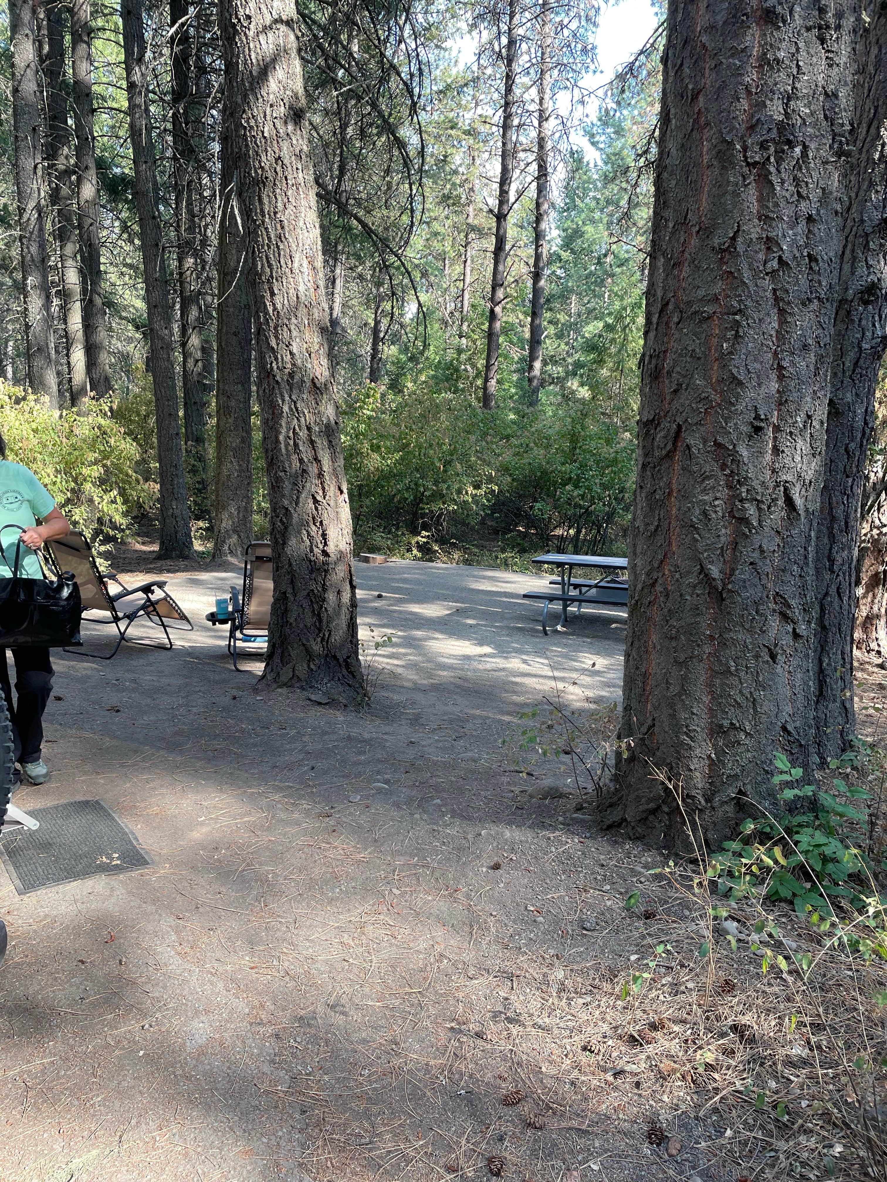Rick G.'s photo at Snowberry Campground — Farragut State Park near Cocolalla, ID