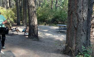 Rick G.'s photo at Snowberry Campground — Farragut State Park near Idaho Panhandle National Forests