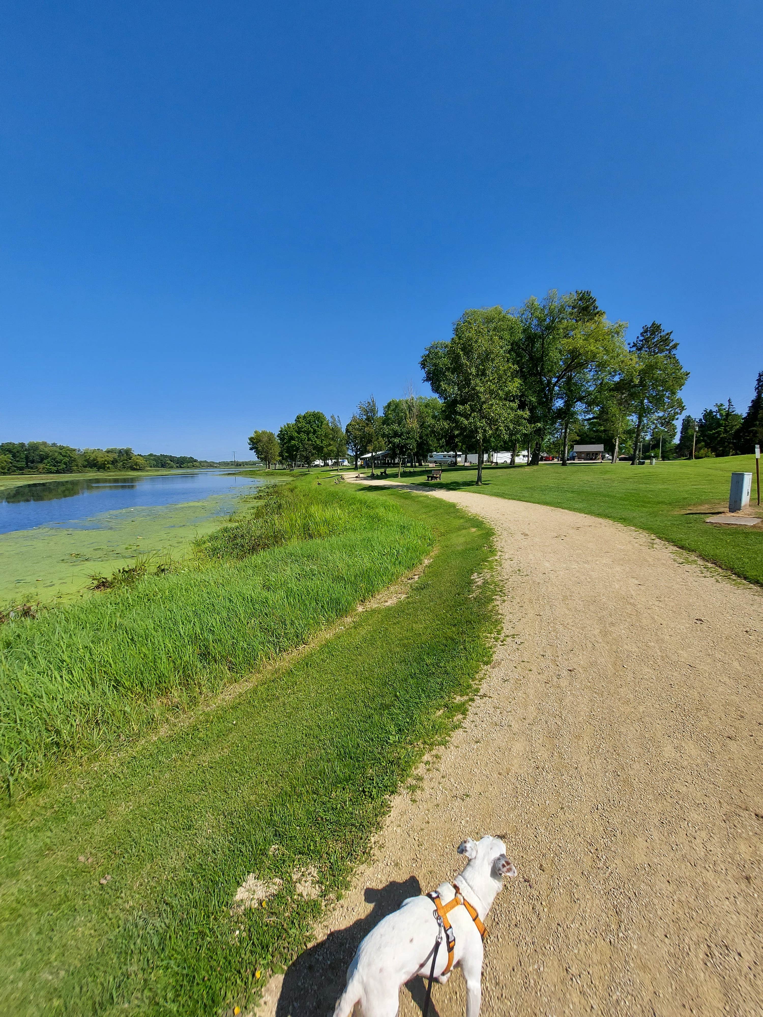Doug S.'s photo of camping with pets at River Side Park near Waupaca, WI