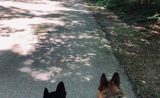 Geored1's photo of camping with pets at Newport News Park near Cheriton, VA