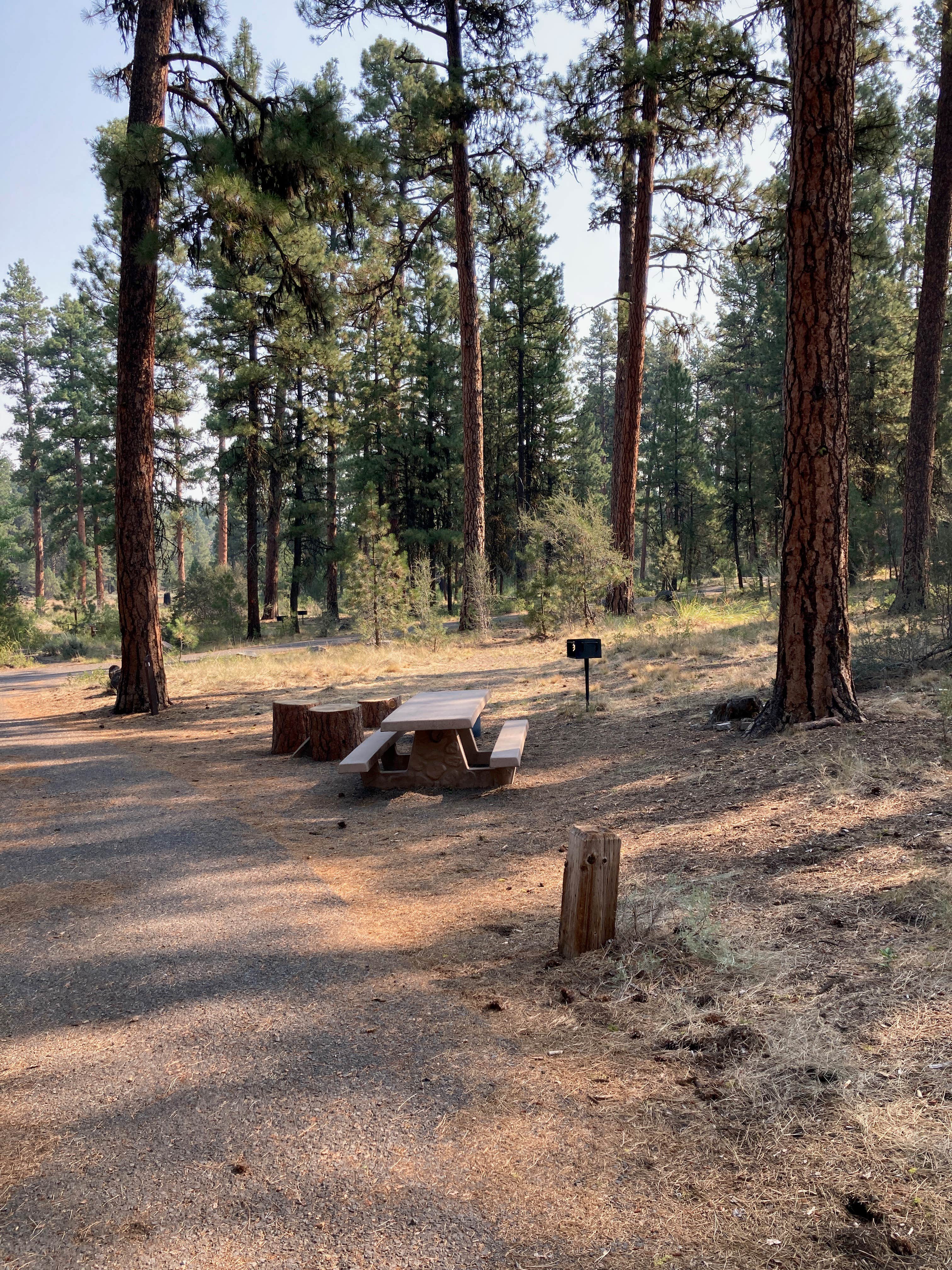 Camper submitted image from Idlewild Campground - Malheur - 4